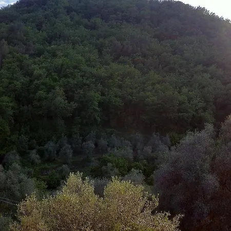 Διαμέρισμα Pana La Taggiasca *