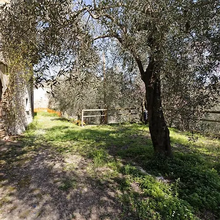 Apartment Pana La Taggiasca *