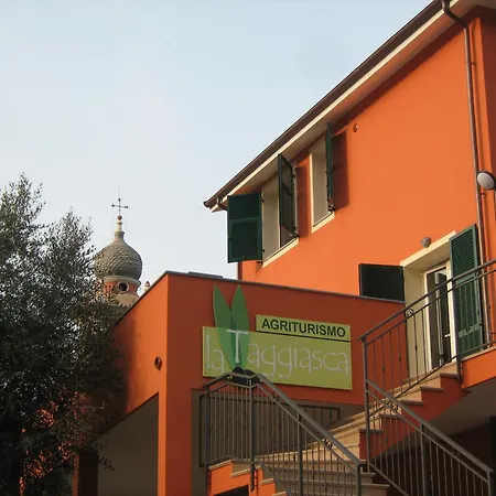Pana La Taggiasca Stellanello