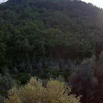 Pana La Taggiasca