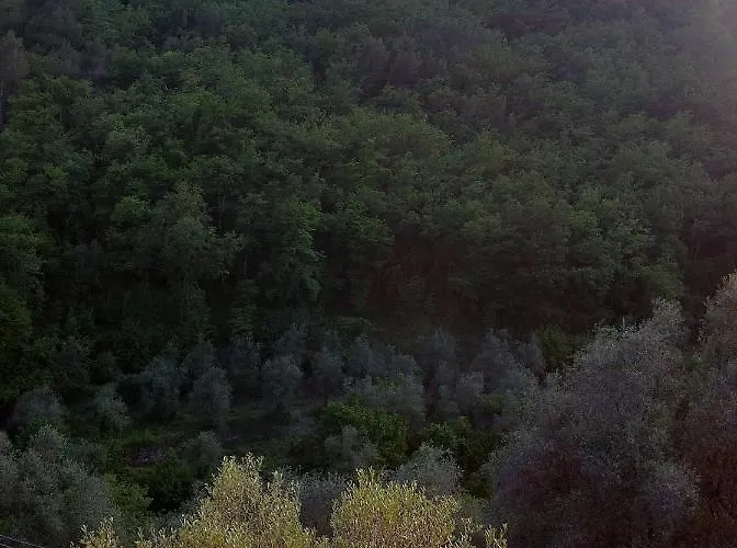 Apartmán Pana La Taggiasca *
